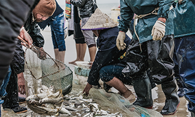 30年海鮮加工經(jīng)驗